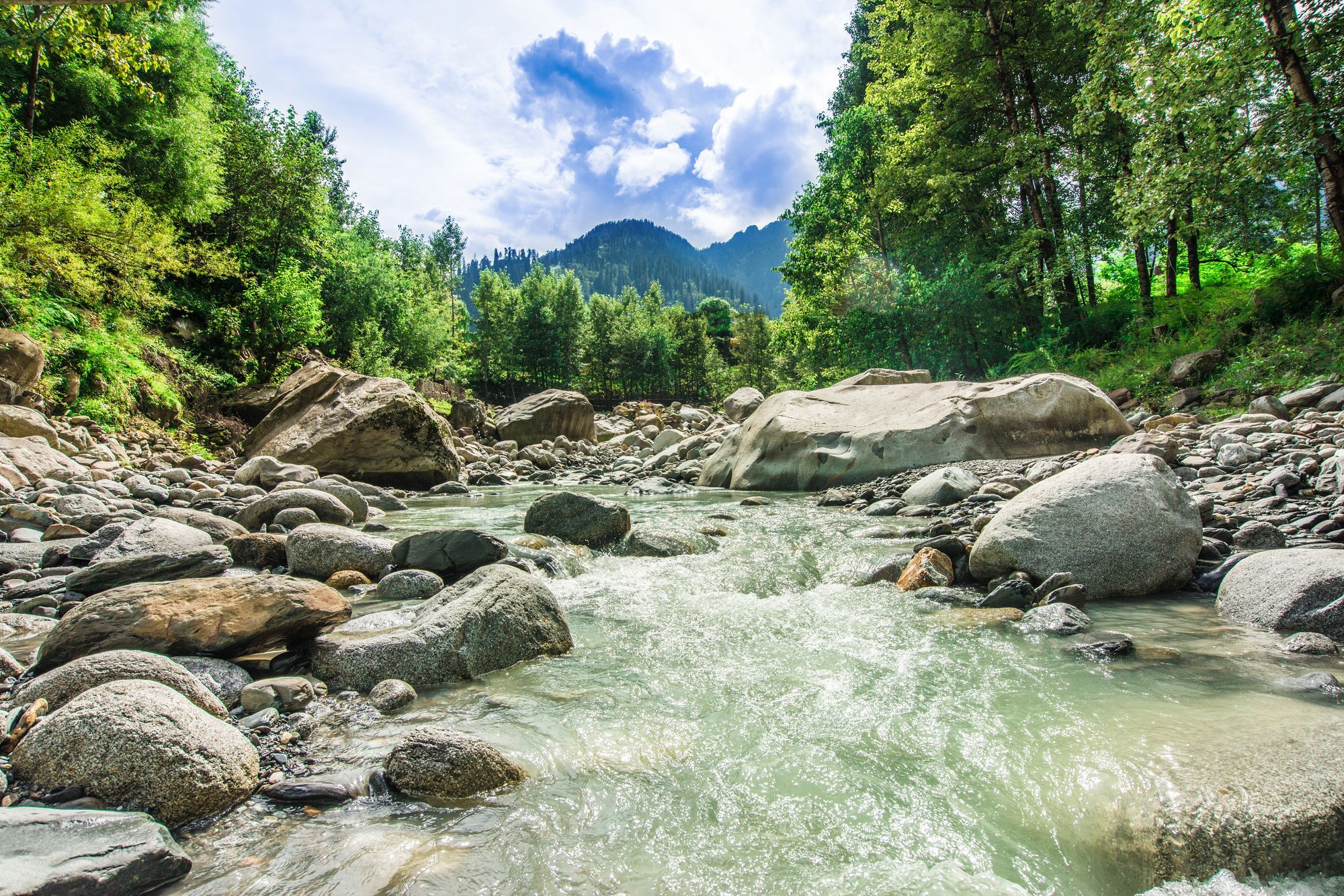 Solang Valley Resort Palchān Extérieur photo