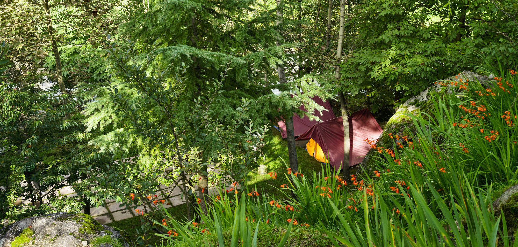 Solang Valley Resort Palchān Extérieur photo