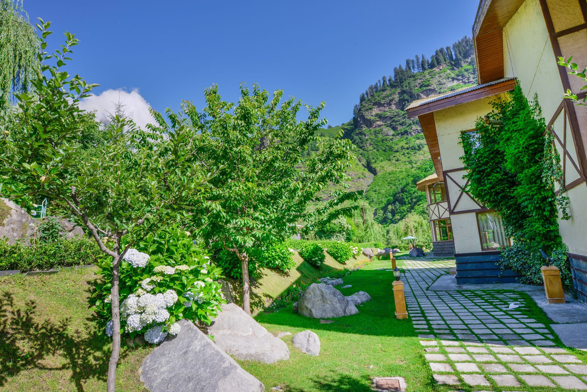 Solang Valley Resort Palchān Extérieur photo